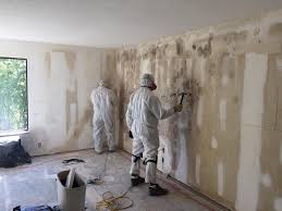 Best Basement Mold Removal  in Labelle, FL